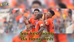 Soi kèo bóng đá Hồng Lĩnh Hà Tĩnh vs SHB Đà Nẵng, 17:00, ngày 15/06/2025, V.League 1