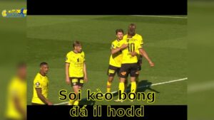 Soi kèo bóng đá IL Hodd vs Lillestrom, 23:00, ngày 14/06/2025, Hạng 2 Na Uy