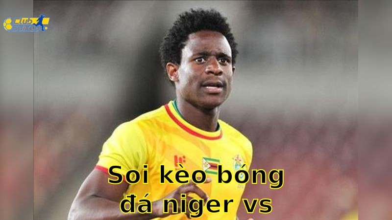 Soi kèo bóng đá Niger vs Zimbabwe - 07:00, ngày 10/06 - mùa giải Giao Hữu (Friendlies 3)