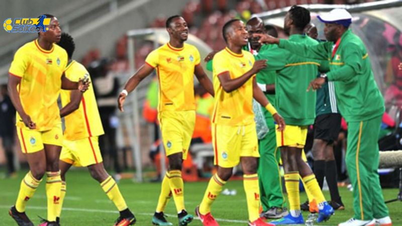 Tin Tức Đội Hình Niger vs Zimbabwe